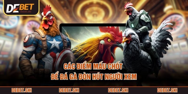 Các điểm mấu chốt để đá gà đòn hút người xem